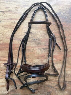 Full sized Dominus flash bridle and reins